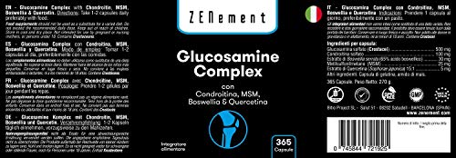 Glucosamina Complex con Condroitina, MSM, Boswellia y Quercetina, 365 Cápsulas | Para el dolor en las articulaciones | No-GMO, GMP, sin aditivos, sin Gluten | de Zenement