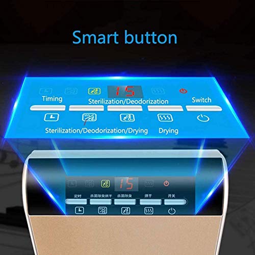 Gnohnay Secador de Zapatos Secador de Zapatos Vertical, Secador de Botas Doméstico, Limpieza con Ozono para Eliminar Olores Manguera Retráctil Adecuada para Varios Tipos de Zapatos