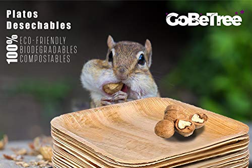 GoBeTree Vajilla desechable de 75 Piezas, 25 Platos de Hoja de Palma Cuadrados, Juego de Cubiertos de Madera Abedul de 25 Tenedores y 25 Cuchillos, vajilla Rustica y Elegante, vajilla Biodegradable