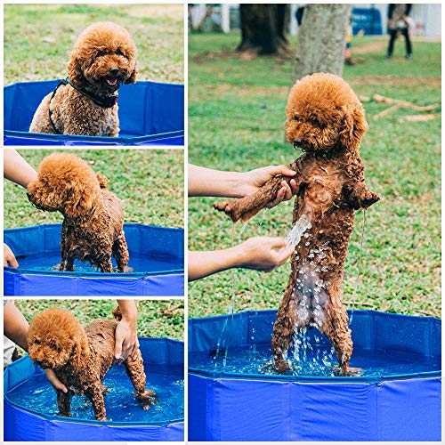 GoPetee Piscina para Perros Mascotas Plegable Bañera para Mascotas Plegable Baño Portátil para Perros y Gatos Pequeños Medianos y Grandes Interior o Exterior ((L 120 x 30 cm) Azul)