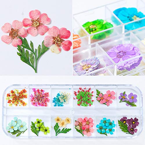 GOTONE 120 piezas Real Flores secas 3D Nail Art Stickers Decoración DIY Preserved Flower Stickers Consejos Manicura, 80pcs Starry + 40pcs Cinco flores con hojas (2 cajas, 2 * 12 colores)