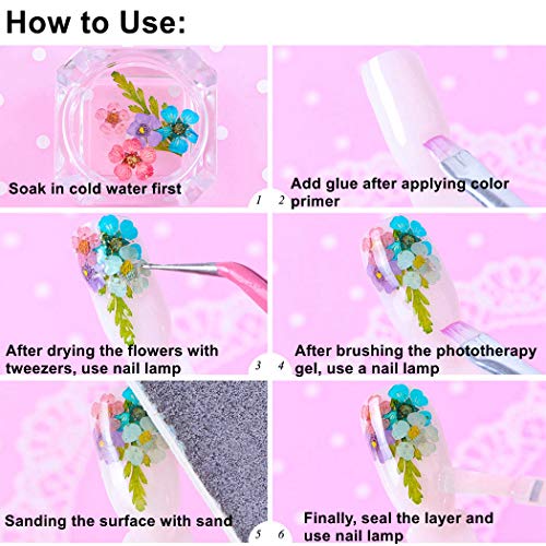 GOTONE 120 piezas Real Flores secas 3D Nail Art Stickers Decoración DIY Preserved Flower Stickers Consejos Manicura, 80pcs Starry + 40pcs Cinco flores con hojas (2 cajas, 2 * 12 colores)
