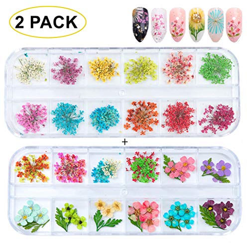 GOTONE 120 piezas Real Flores secas 3D Nail Art Stickers Decoración DIY Preserved Flower Stickers Consejos Manicura, 80pcs Starry + 40pcs Cinco flores con hojas (2 cajas, 2 * 12 colores)