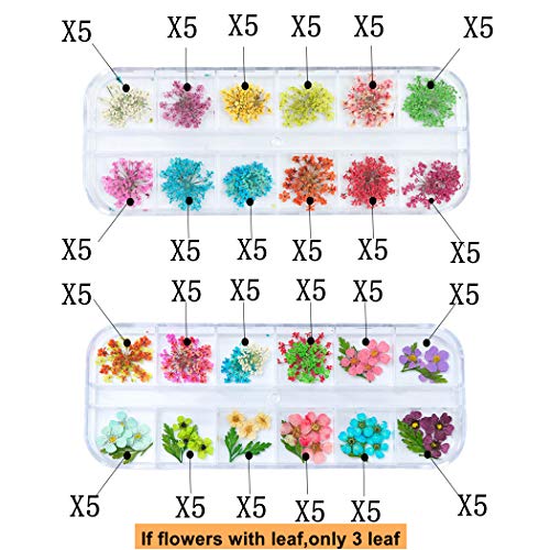 GOTONE 120 piezas Real Flores secas 3D Nail Art Stickers Decoración DIY Preserved Flower Stickers Consejos Manicura, 80pcs Starry + 40pcs Cinco flores con hojas (2 cajas, 2 * 12 colores)