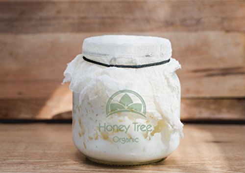 Granos para elaboración de kéfir (bebidas probióticas)