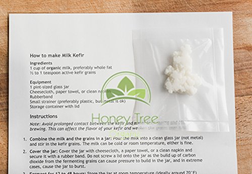 Granos para elaboración de kéfir (bebidas probióticas)