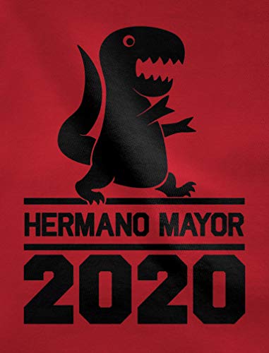 Green Turtle Camiseta para niños - Hermano Mayor Regalo Original y Divertido 3/4 Años 104cm Gris