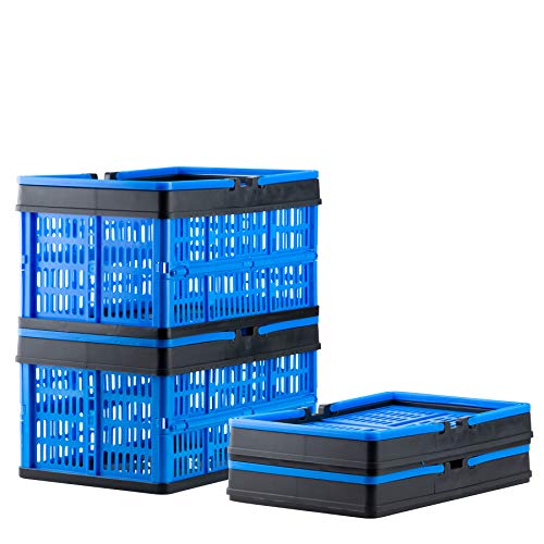 Grizzly 2 x Cajas Plegables con asas - 16 L - Cestas de almacenamiento - apilables