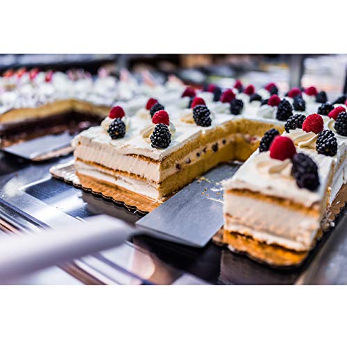 Grizzly Molde rectangular ajustable para horno de acero inoxidable.