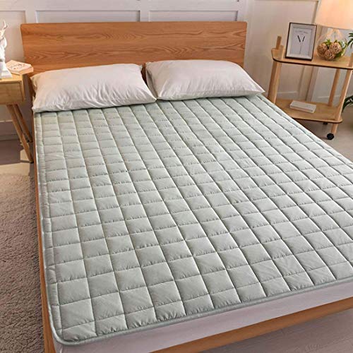 GuoEY Colchón de Cama Tatami, colchoneta Plegable Antideslizante, 2 m, Almohadilla para Dormir Individual con Suelo Doble, Siesta para Sala de Estar, Dormitorio, C, 90 x 200 cm