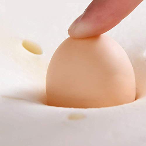 GuoEY Colchón de Tatami Tradicional Colchón de Suelo Colchón de Suelo japonés Transpirable Alfombrilla de Tatami Plegable Colchoneta de Dormir para el hogar Colchón B 150 × 200 cm (59 × 78 Pulgada