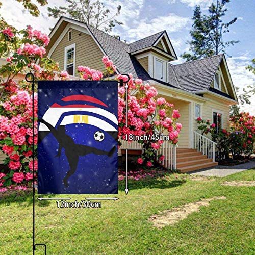 GYHJH Jugador de fútbol pateando pelota Bandera de Rusia Vertical Bandera de jardín de poliéster de una cara Bandera 12 X 18 pulgadas Mejor patio de fiesta