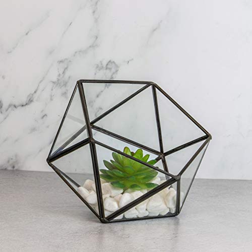 Half Ball Glass Terrario | Planta de la casa | Planta de maceta | Mini invernadero | Kit de terrario | Mesa de centro de plantas | M&W