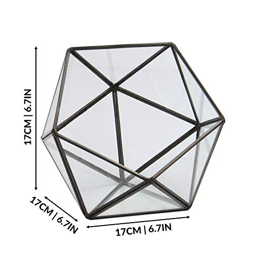 Half Ball Glass Terrario | Planta de la casa | Planta de maceta | Mini invernadero | Kit de terrario | Mesa de centro de plantas | M&W