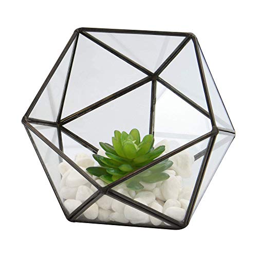 Half Ball Glass Terrario | Planta de la casa | Planta de maceta | Mini invernadero | Kit de terrario | Mesa de centro de plantas | M&W