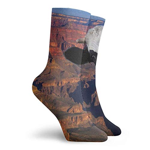 Hangdachang Cueva del Gran Cañón en Colorado Impresión de imágenes para adultos Calcetines cortos de algodón Calcetines divertidos para hombres Mujeres Yoga Senderismo Ciclismo Correr Fútbol Deportes
