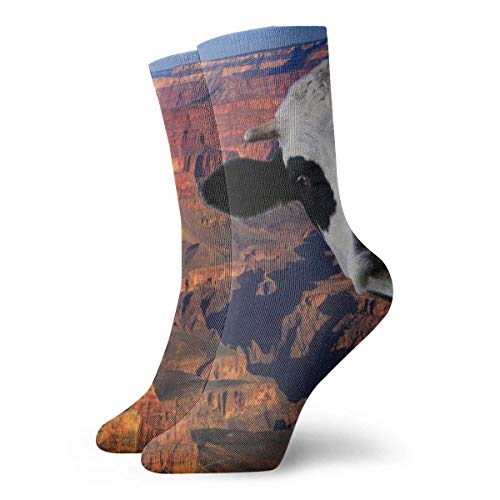 Hangdachang Cueva del Gran Cañón en Colorado Impresión de imágenes para adultos Calcetines cortos de algodón Calcetines divertidos para hombres Mujeres Yoga Senderismo Ciclismo Correr Fútbol Deportes