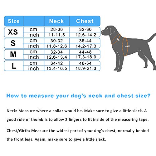 HAPPY HACHI Arnés Gato Chaleco Gatito Perro Pequeño Ajustable Suave Acolchado Cómodo para Viajar Pasear con Mascota Pequeña Cachorro Chihuahua(XS Rojo)