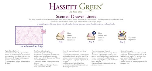 Hassett Green London - Bolsas perfumadas para cajones (6 unidades, 600 x 400 mm), color verde, sencillo, 600 x 400 mm