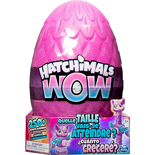 Hatchimals 6046989 EGG HatchiWow GML, Multicolor, Modelos Surtidos