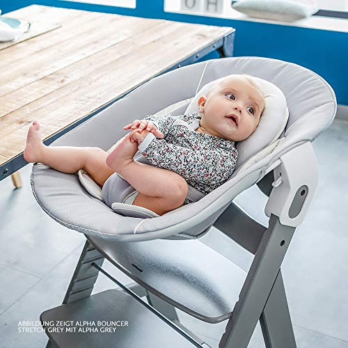 Hauck Alpha Plus Newborn Set - Trona de madera evolutiva bebés, incluye hamaca para recién nacidos, cojín gratis, altura regulable - color nogal/beige