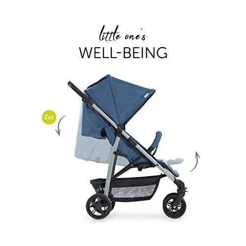 Hauck Rapid 4  Silla deportiva con respaldo reclinable para Bebés, desde nacimiento hasta 15 kg/4 años, Capacidad de carga 25 kg, Azul (Denim/Grey)
