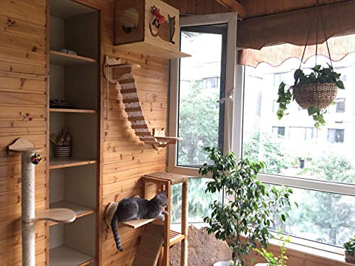 HC - Centro de actividad para gatos, de madera, montado en la pared, puente colgante