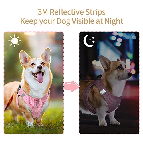 HEELE Arnés Gato Chaleco Gatito Perro Pequeño Ajustable Suave Acolchado Cómodo para Viajar Pasear con Mascota Pequeña Cachorro Chihuahua, Rosa, XS