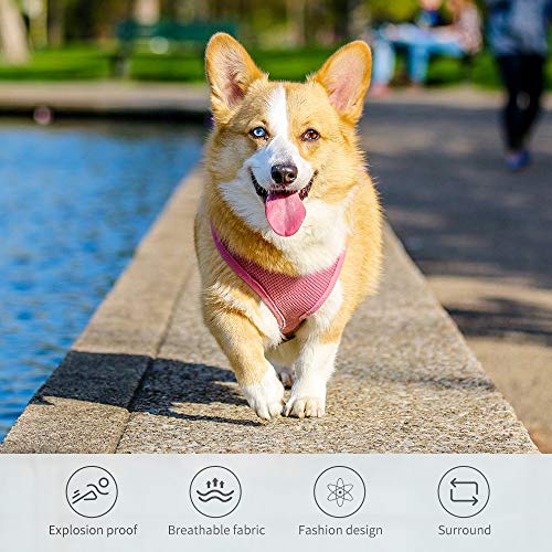 HEELE Arnés Gato Chaleco Gatito Perro Pequeño Ajustable Suave Acolchado Cómodo para Viajar Pasear con Mascota Pequeña Cachorro Chihuahua, Rosa, XS