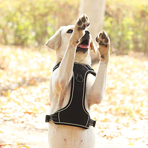 HEELE Arnes Perro Arnes Perro Grande Arnés Antitirones Perros con Lineas Reflecantes Cómodo Transpirable Chaleco Acolchado Ajustable para Adiesreamiento Correr Aire Libre Negro, L