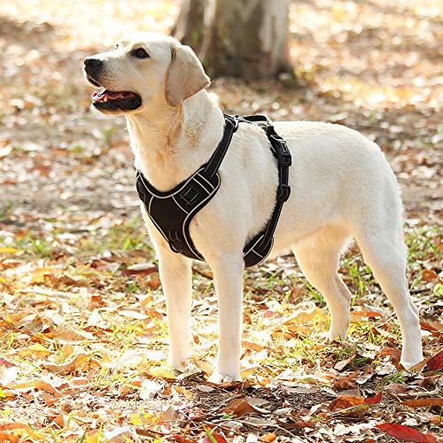 HEELE Arnes Perro Arnes Perro Grande Arnés Antitirones Perros con Lineas Reflecantes Cómodo Transpirable Chaleco Acolchado Ajustable para Adiesreamiento Correr Aire Libre Negro, L