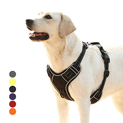 HEELE Arnes Perro Arnes Perro Grande Arnés Antitirones Perros con Lineas Reflecantes Cómodo Transpirable Chaleco Acolchado Ajustable para Adiesreamiento Correr Aire Libre Negro, L