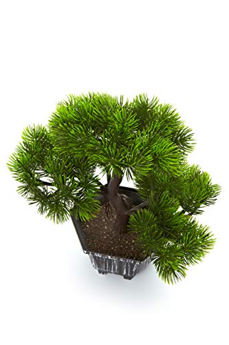 Heitmann Deco – Bonsái, planta artificial con maceta, planta verde, árbol pequeño, flores artificiales, decoración