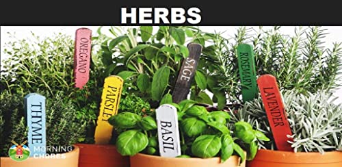 Herbs