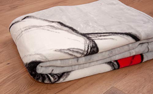 Herding Disney - Manta de Microfibra (poliéster, 150 x 200 cm), diseño de Mickey y Minnie