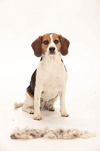 Herramienta de muda para perros medianos de pelo corto M