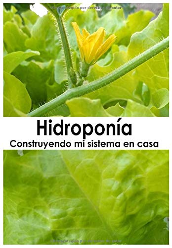 Hidroponía: Construyendo mi sistema en casa