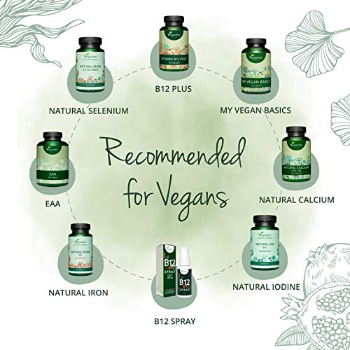 Hierro Vegavero® | Apto Para Veganos | 14 mg=100% CDR | Con Vitamina C + B12 + B2 + B6 + Ácido Fólico | Sin Aditivos | 120 Cápsulas | Anemia + Menstruación + Energía* + Cansancio