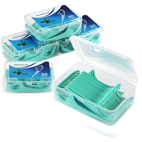 Hilo dental 300 Piezas, Palillos de hilo dental Plástico, hilo dental menta frasca para interdental oral limpieza - Floss sticks - 60 / paquete