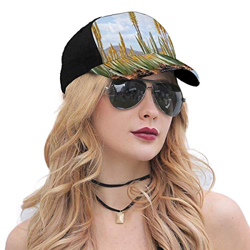 Hip Hop Sun Hat Baseball Cap,Photo from Aloe Vera Plantation Medicinal Leaves Remedy Fuerteventura Canary Islands,For Men&Women