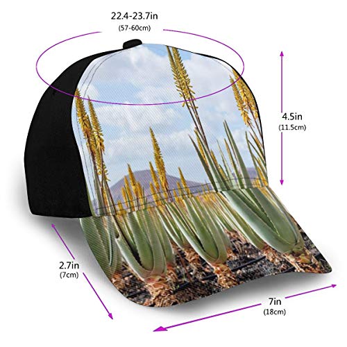 Hip Hop Sun Hat Baseball Cap,Photo from Aloe Vera Plantation Medicinal Leaves Remedy Fuerteventura Canary Islands,For Men&Women