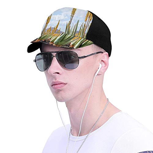 Hip Hop Sun Hat Baseball Cap,Photo from Aloe Vera Plantation Medicinal Leaves Remedy Fuerteventura Canary Islands,For Men&Women