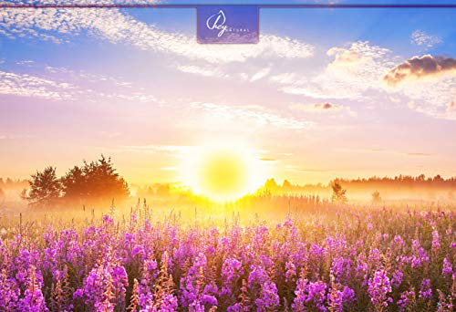 HN Suplemento para Articulaciones 90 Capsulas | 10 Ingredientes que Incluyen Glucosamina y Condroitina, MSM, Boswellia, Zinc, Acido Hialuronico y Curmuma en Capsulas | Alta Potencia, Sin Rellenos