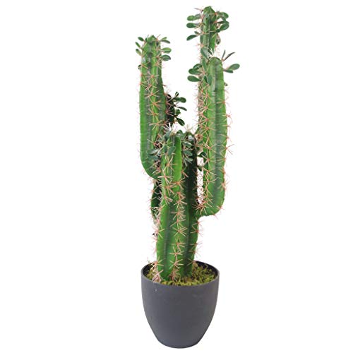 Hoja 75 cm Premium Cactus Artificial con Olla