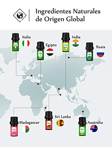 Homasy Caja De Aceites Esenciales, 16 X 5 ml Aceites Esenciales Orgánicos Puros Al 100% Para Difusor/Humidificador, El Mejor Regalo, Lavanda, Naranja Dulce, árbol De Té, Hierba De Limón, Etc.