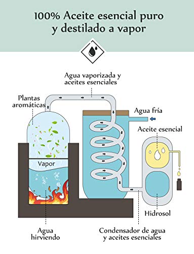 Homasy Caja De Aceites Esenciales, 16 X 5 ml Aceites Esenciales Orgánicos Puros Al 100% Para Difusor/Humidificador, El Mejor Regalo, Lavanda, Naranja Dulce, árbol De Té, Hierba De Limón, Etc.