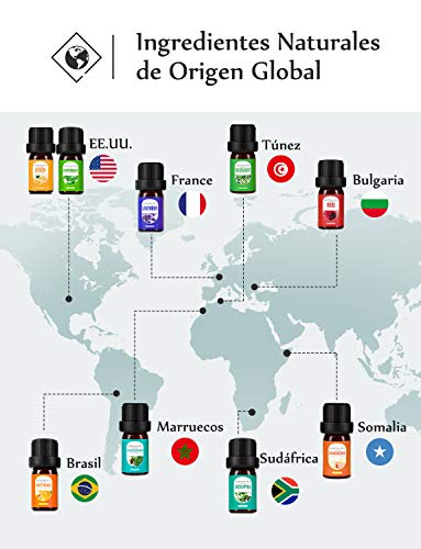 Homasy Caja De Aceites Esenciales, 16 X 5 ml Aceites Esenciales Orgánicos Puros Al 100% Para Difusor/Humidificador, El Mejor Regalo, Lavanda, Naranja Dulce, árbol De Té, Hierba De Limón, Etc.