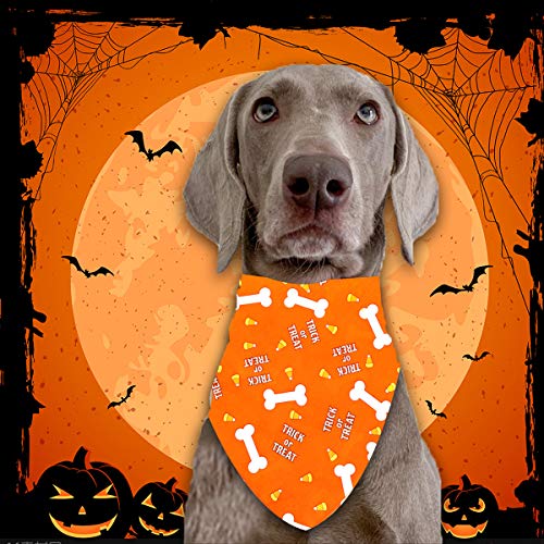 HQdeal Pañuelos para Perros, Bandana Perro de Halloween, Baberos para Perros, Bufanda Triangular, Pañuelo para Perros Gatos Mascotas (Naranja)