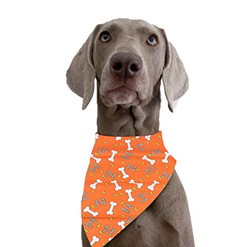 HQdeal Pañuelos para Perros, Bandana Perro de Halloween, Baberos para Perros, Bufanda Triangular, Pañuelo para Perros Gatos Mascotas (Naranja)