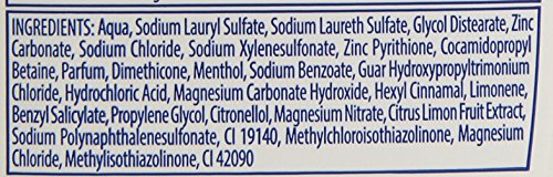 h&s - Champú anticaspa para cabello graso - Citrus fresh - 270 ml